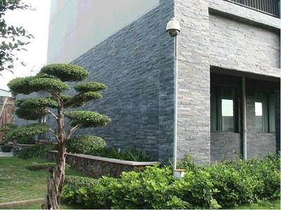 厂家直供青石板文化石 | 幕墙干挂专用青石饰面板 | 高强度耐磨外墙文化石批发 - 细节图2