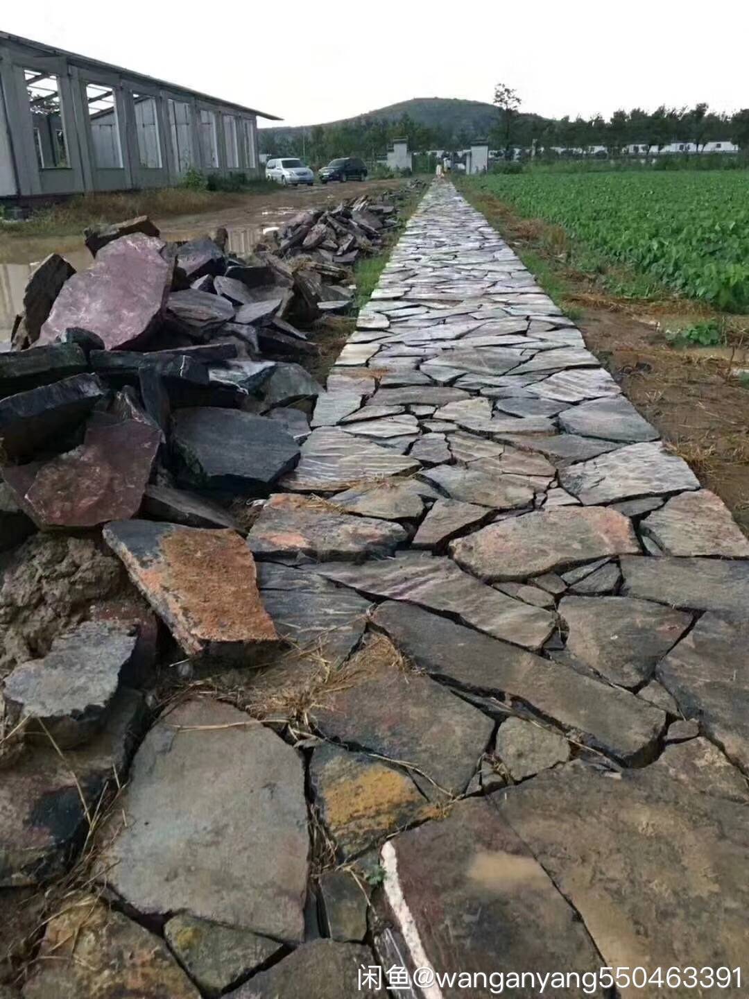厂家直供青石板碎拼石 | 市政广场/景区园路乱形铺装石 | 高强度耐磨冰裂纹石材批发 - 细节图3